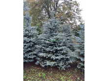 ��� ������� EXTRA  120-140�� 6500�