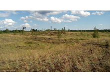 IMG 20170805 153431.jpg