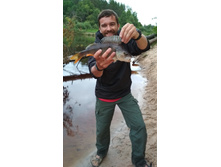 IMG 20170804 200415.jpg