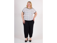 �������� V114.6