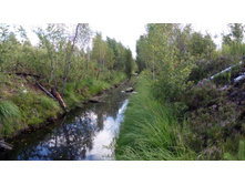 IMG 20170805 151435.jpg