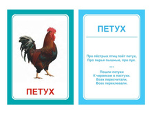 �������������� �������� "��������� "�+�"" �������: 0874 - 99 ���.