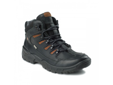 420_���� �����_3930 ���