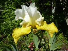 ����������� 048.jpg