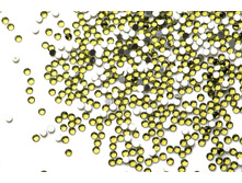 40 ���. - ������ �������� 50 ��. ��������� ?05