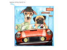 ��������� ���������� "Collorista" ������ � ����, 30�30 ��, 200 ��/�2 21��� �� 5��