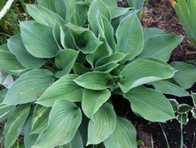 13-150��� �����.jpg