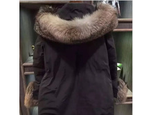 � ����.����