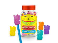 ��*��� �����*��� Lu*cky Ca*t_312 �