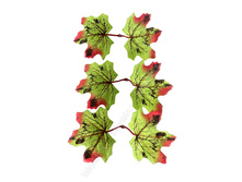 �������� �������� (��-714) �������