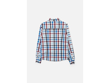 20110280053   Forest          (    ).jpg