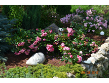 4 ������ (Les Quatre Saisons)