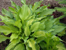 14-100 ���. �����.jpg