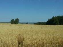 20170819 101545.jpg