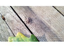 IMG 20170820 162252.jpg