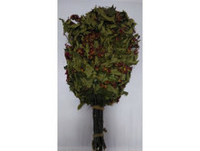 ����� ������̣� 35�55��.jpg