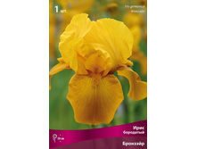 ���� ��������� ��������.jpg