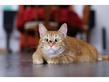 ����� � ����� �� ����