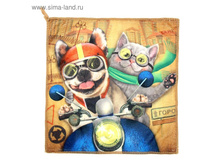 ��������� ���������� "Collorista" ������, 30�30 ��, 200 ��/�2 21��� �� 5��