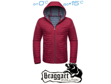 ������ Braggart Status - ������� 1295A ������� 3100�..png