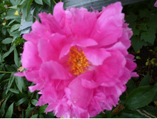 ����������� 059.jpg