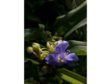 21-80��� ������������.jpg