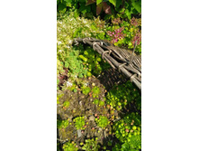 �������� 30 �.- ������� � ������ (�� ��������) ������ ������� - 30 �.