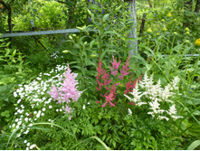 ����������� 094.jpg ��� ���� ��������.