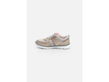 20218040023   Favi          (    ).jpg