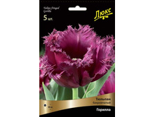 ������� �������.jpg