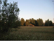 IMG 3808.JPG