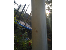 IMG 20170729 175006.jpg