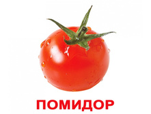 �������� �������� ����-20 "�����" �������: 0447 - 65 ���.