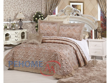 18/594 CLJ115 ��������� ������� 240*260 50*70-2�� ����