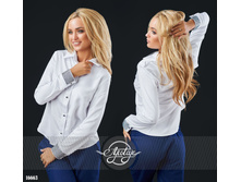 ������� - 16663, 1034 ���. (431 ���.)