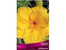 �������� ��������� ����������.jpg