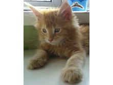 20170425 085601-1-1.jpg