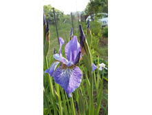 12-100��� ����.jpg