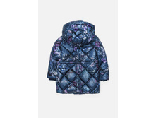 20220610017   Pictor        -     (    ).jpg