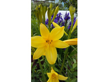 5-�-60 ���..jpg