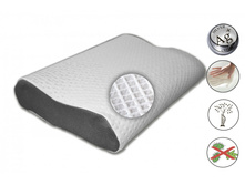 ������� ���� ����