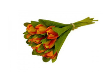 ����� ��������� ������: 7102-�� ������: 35��