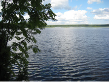 IMG 3776.JPG
