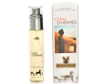 169 ���. (������ 22%) - ���� � ���������� Hermes Terre D'Hermes 45ml