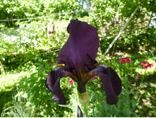 ����������� 052.jpg