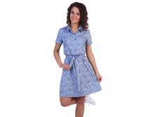 2054 ������ "�������"