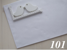 101