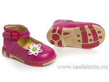 309-09 ����� ��������� ����, ������ �.24-27 - 1740 ���