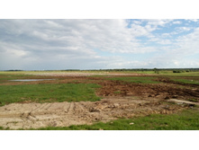 IMG 20170805 164954.jpg