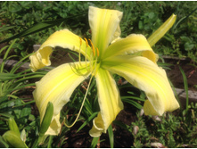 ������� ����� �� �����